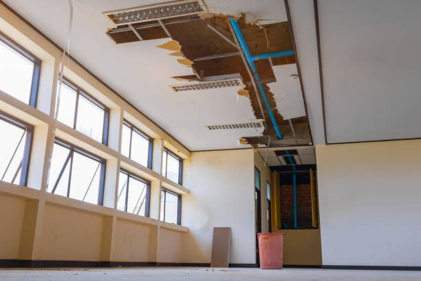 Best Water damage contractors near me  in Progress Village, FL