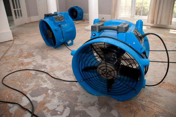 Best Water damage restoration near me  in Progress Village, FL