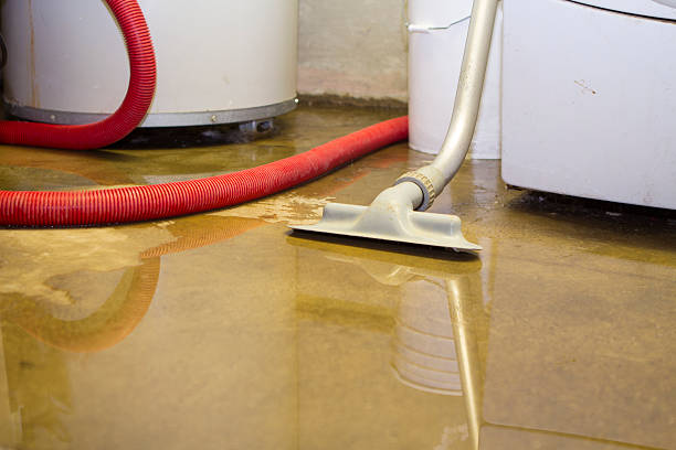 Best Flood restoration services  in Progress Village, FL