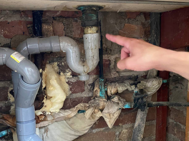 Best Professional water damage repair  in Progress Village, FL