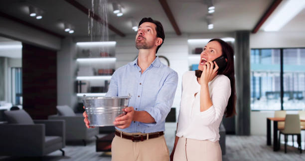 Best 24/7 water damage repair  in Progress Village, FL