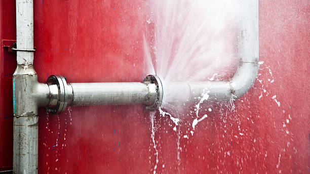 Best Ceiling water damage repair  in Progress Village, FL